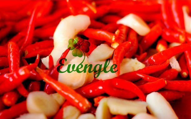 Dried Red Chilli/Capsicum Frutescens/Best Quality