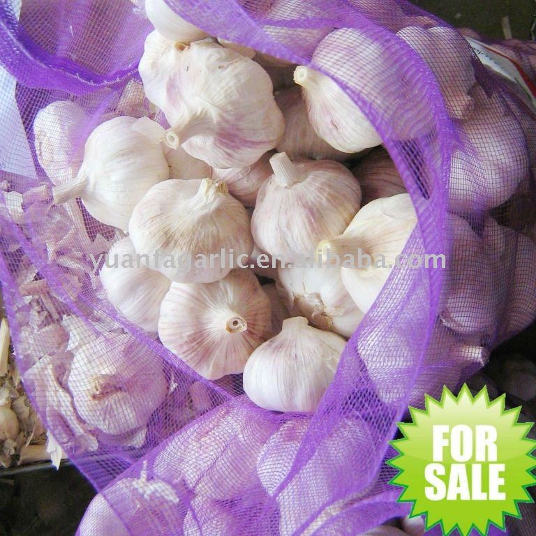 Fresh China Jinxiang Garlic in Carton Package