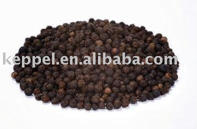 Black Pepper