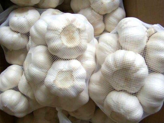  2011   pure   white   garlic 