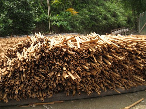 MANUFACTURER OF CASSIA/CINNAMON