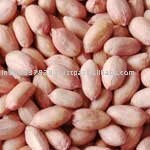 processed  peanut/groundnut