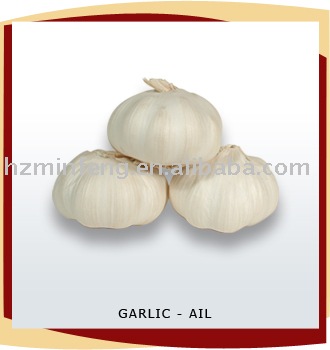  2011   pure   white   garlic 