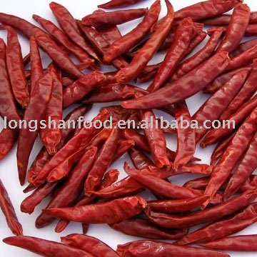 dry hot red chilli