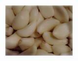 Whole Garlic