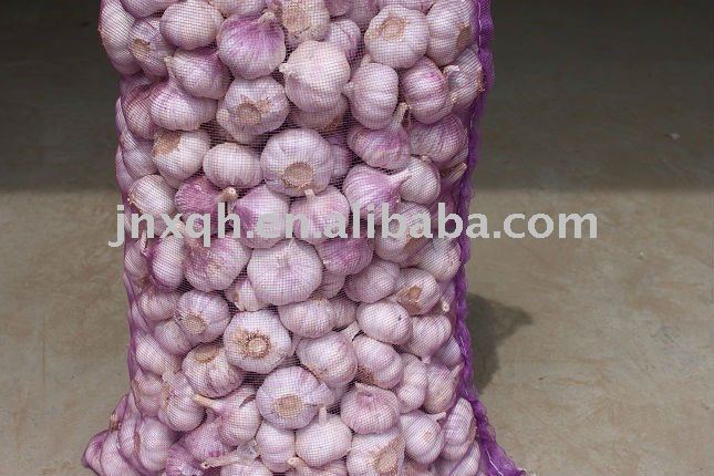 5.5cm loose packing garlic