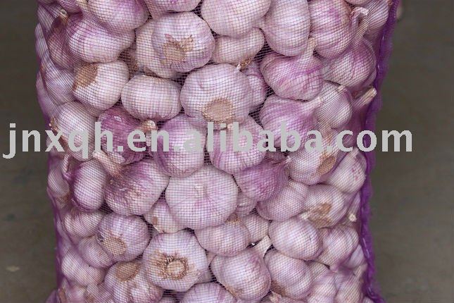 20kg mesh bag   loose  packing   garlic 