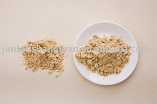 onion powder