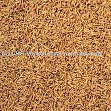 Indian Origin Cumin Seed (Singapore Quality)