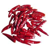 New Crop Dried Red Chilli