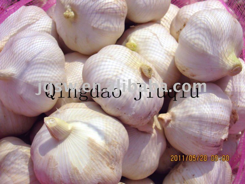 2011 new crop garlic from Jinxiang(pure white,6.0cm)