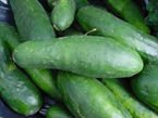 fresh Cucumbers