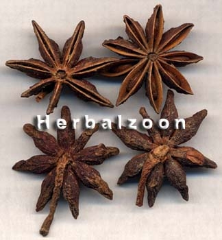 spices, Fructus Anisi Stellati, Chinese Star Anise