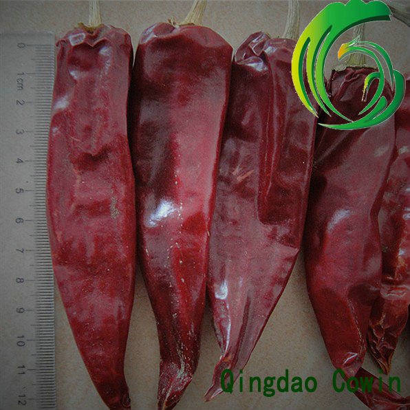 dry chilli