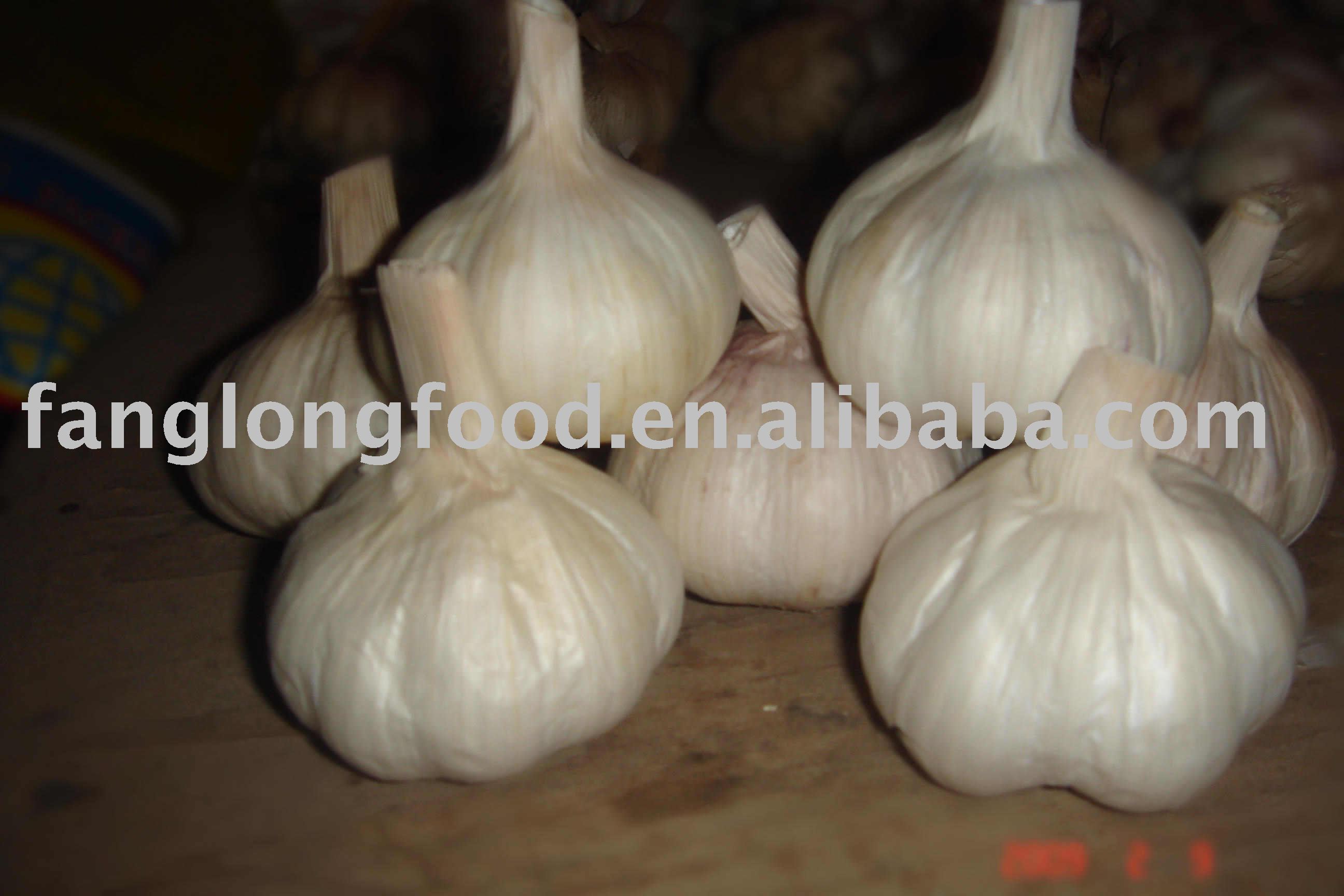 Spicy garlic Fang long food 86-634-6512707