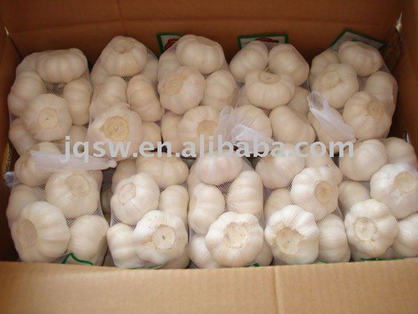  2011   pure   white   garlic 