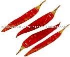 Chilli