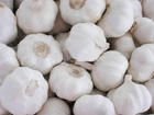 PURE WHITE  GARLIC   20KG / MESH   BAG 