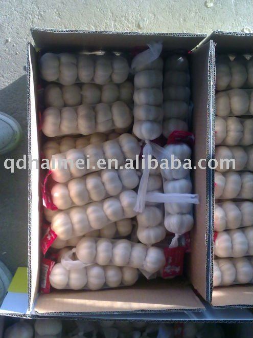 2011 new crop chinese fresh garlic