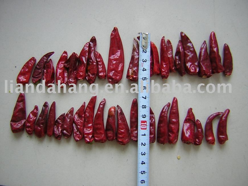 Hot Red Chili