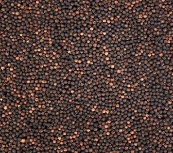 Black Pepper 550g and 500gl From Vietnam