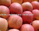 20KG/CTN Red Fuji Apple