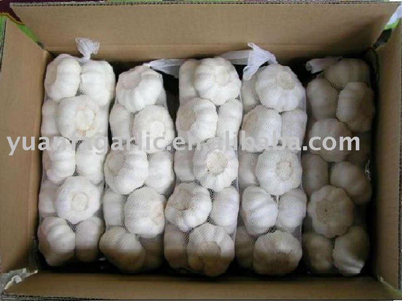 Chinese Fresh Red Garlic