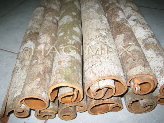 TUBE CASSI A GRADE