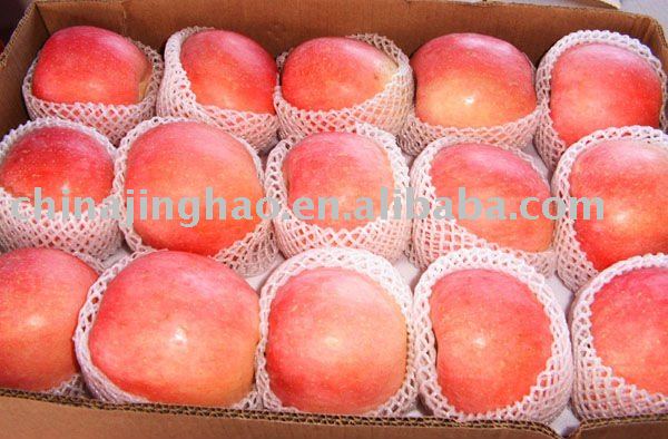 Hot Sale Chinese Fresh Red Fuji Apple