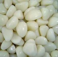 Cold  Storage   Garlic 