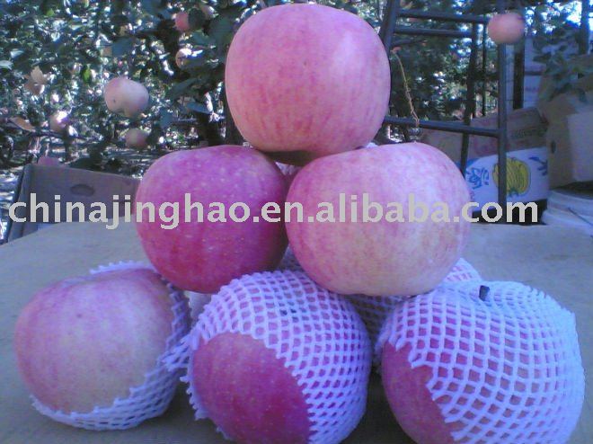 Low  Price , High Quality and Hot Products - Famous Top Grade China Yantai Fresh  Red  Fuji  Apple  (100-1