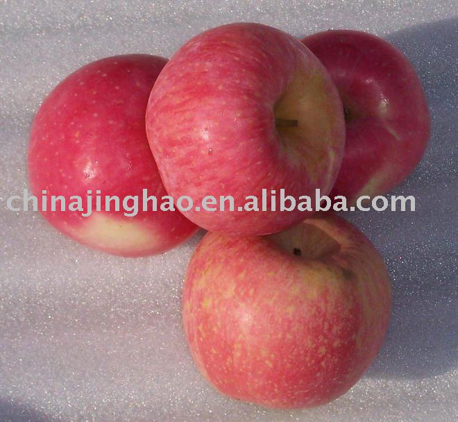 China High Quality and Healthy Fruits - Yantai Low Price Top Grade Fresh Red Fuji Apple (100)