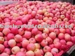 Chinese Fresh  Red  Fuji  Apples