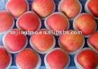 MOQ: 24MT 20KG/CTN Fuji Apple