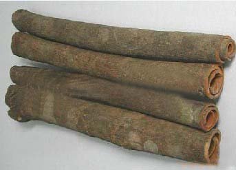 Bark Cassia #1