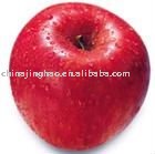 Red Honey Yantai Fuji Apple