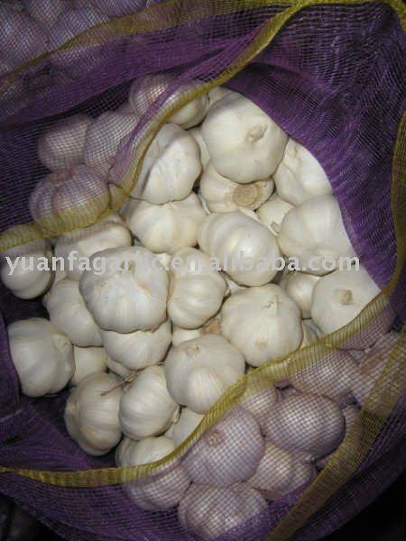 China Fresh Red Garlic in Carton Package, MOQ:1*20 FCL