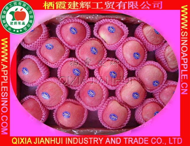 2010 new crop Chinese yantai  Fresh red Fuji apple of Big Size and various packing