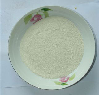 garlic powder