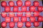  20KG / CTN  Yantai Fuji  Apple 