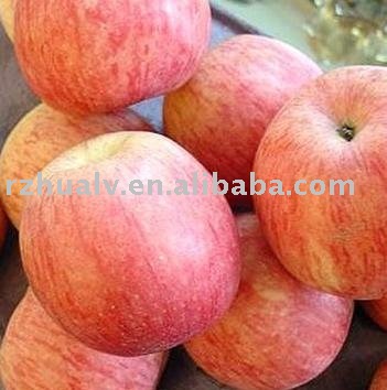  sweet   red   fuji   apple 