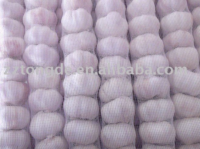 2010 fresh white  garlic