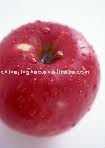Fresh Yantai Apple