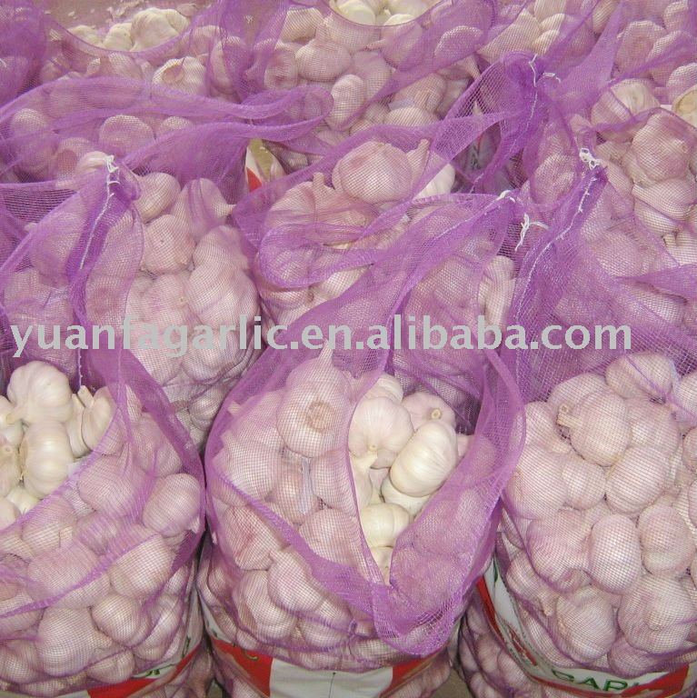 Fresh  Chinese   Red   Garlic 