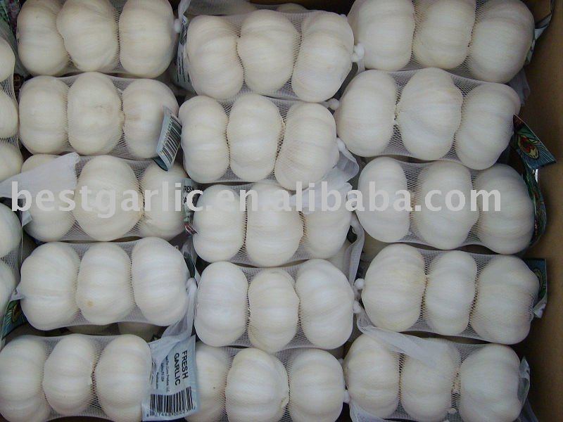 Fresh Garlic 2011 products,China Fresh Garlic 2011 supplier