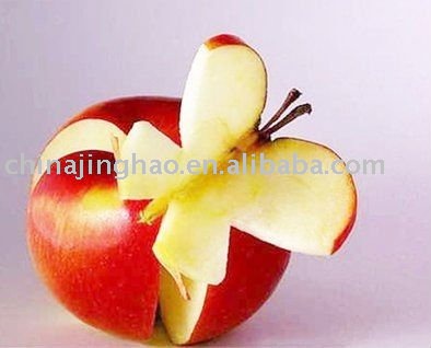 High Quality Fresh Yantai Apple
