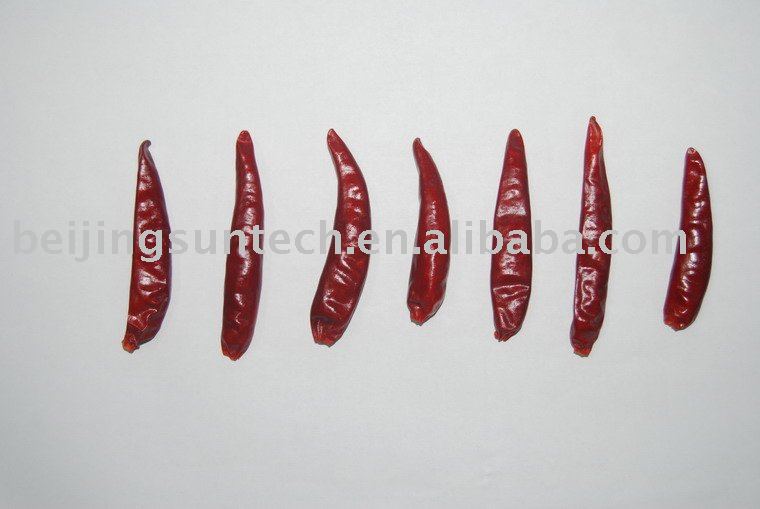 Chaotian chili