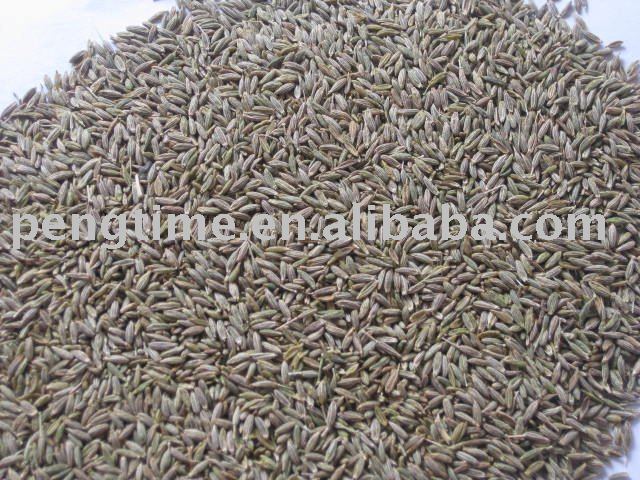 dried  cumin   seeds 
