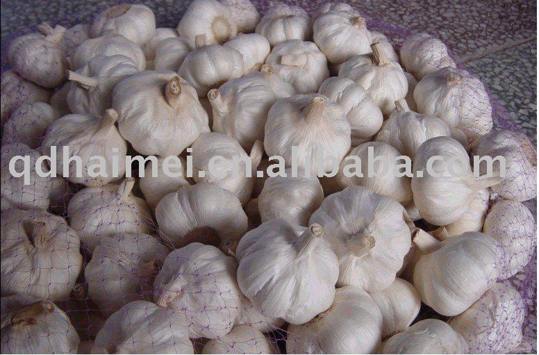 2010  fresh normal garlic