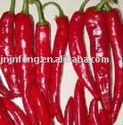  dry   good   chilli 